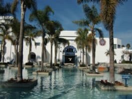 PURRRcast Podcast at Oceanside Library July 29