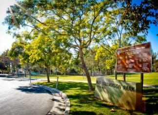 City Asking Public to Help Plan Bub Williamson Park Improvements Nov 4th and 16th