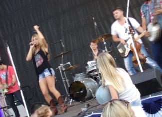 Want Free Concerts in Grape Day Park Vote Here