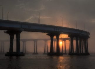 New Works 2017 Photographic Show Winners Declared