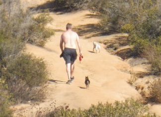 Vacancy Postion Available on Parks & Recreation Commission