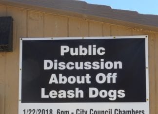 Off-Leash Dogs are NOT allowed at Buena Vista Park!