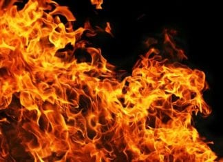 Lilac Fire Aftermath