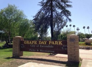 Music Series Brings Country Music and Wine to Grape Day Park!