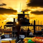 Wine cruise