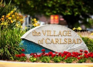 Input Needed On Two Important Issues Affecting The Village