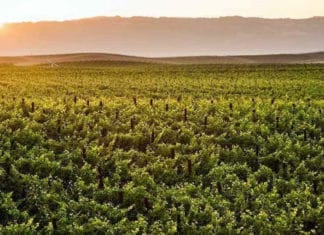 Environmental Impact Report North River Farms Planned Development