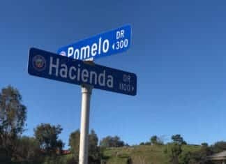 Homicide Investigation Pomelo Drive Vista