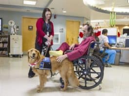 Veterans, Smiles and a Dog Named Honor