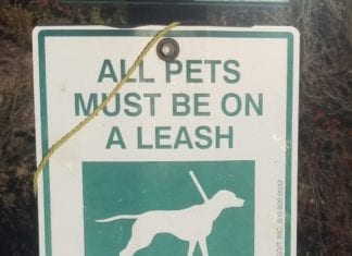 Pros and Cons of Off Leash at South Buena Vista Park Discussed