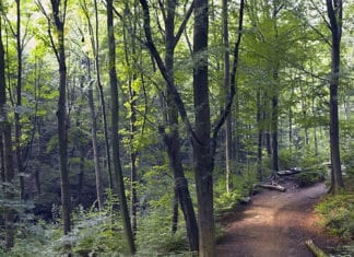 Habitat Management Plan Meeting