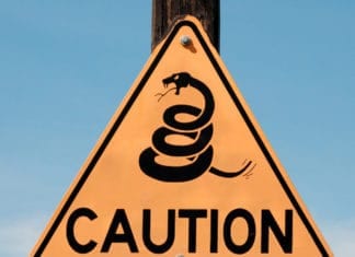 Summer Brings Warm Temps and Scaly Critters