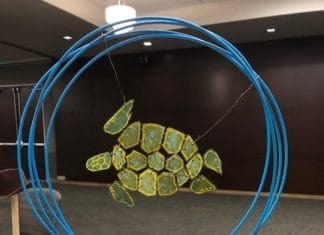 Locations Have Been Decided for 2018 Kites Over Vista