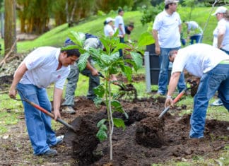 Arbor Day Tree Planting Celebration April 14