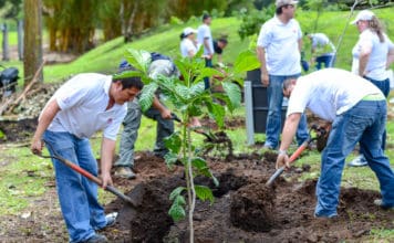 Arbor Day Tree Planting Celebration April 14