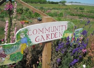 Grand Opening Pine Avenue Community Center and Gardens Project