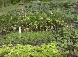 Agritourism Documentary Premiere June 4th