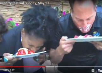 SUNDAY Vista Strawberry Festival Information Here – Fun Video