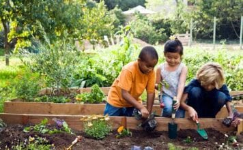 Kids in the Garden Class June 9th Play with Your Food: Veggie Critters
