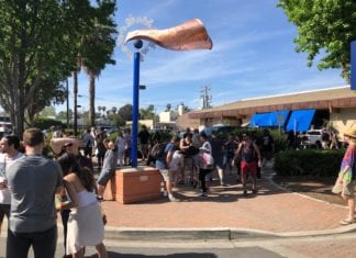 Kites Over Vista 2018 Installed WATCH VIDEO