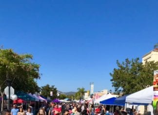 Strawberry Festival Now a Regional EVENT