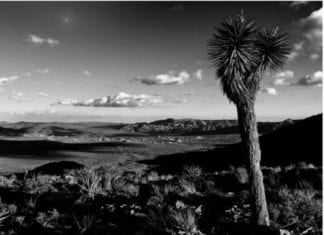 Local Art and Demos at Carlsbad Village Art Hop