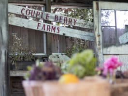Save Couple Berry Farms In Vista on Mar Vista