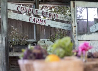 Save Couple Berry Farms In Vista on Mar Vista