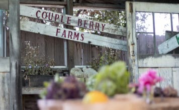 Save Couple Berry Farms In Vista on Mar Vista