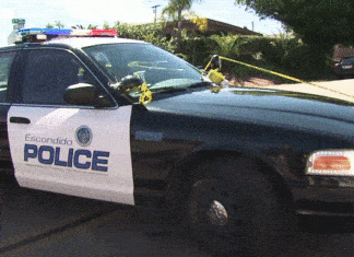 Fatal DUI Collision in Escondidio