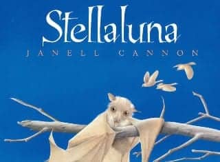 Stellaluna Exhibit at Cannon Art Gallery