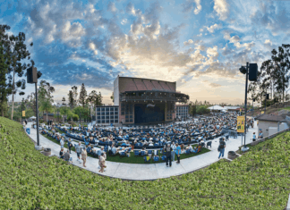 Moonlight Theatre Productions ‘The Show Must Go On’ and It Did