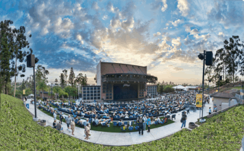 Moonlight Angels Raise More Than $72,000 in 2019 in Support of the Moonlight Cultural Foundation