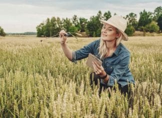 Women Who Harvest Create an Economic Impact of $1.6 billion.