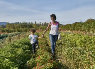 City of Oceanside Conducts Public Workshop-Agritourism Strategic Plan