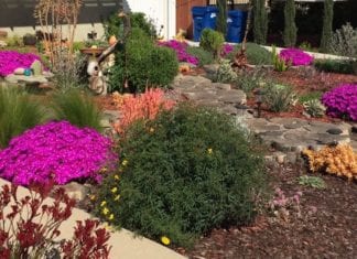 Metropolitan Water District’s Landscape Transformation Program