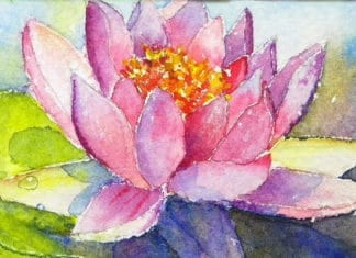 Two Day Workshop Water Color Inside And Out August 21- 23