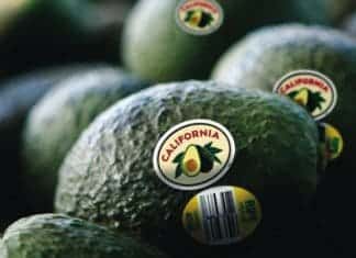 This is Avocado Country