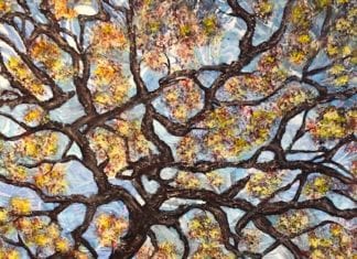 Vista Visions 2018 at Civic Gallery