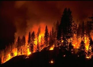 California Legislature Must Act on Fires