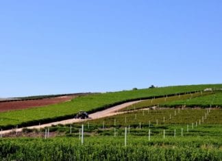 Measure Y (SOAR) Could Mean Lost Economic Opportunity for Oceanside