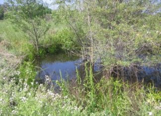 San Marcos Creek District Bridge Project Update