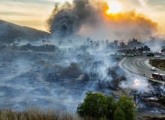 Rebuilding after the Lilac Fire