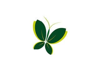 Cannabis Corner The Physiology of Cannabis Part III