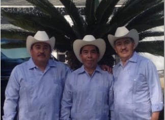 Trío 3 Amigos Huapangueros