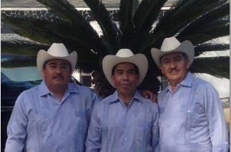 Trío 3 Amigos Huapangueros