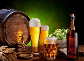 Mead – Wine and Beer Festival at Alta Vista Botanical Gardens Nov 17th
