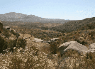 Annual Spooky Trails and Movie at Hellhole Canyon