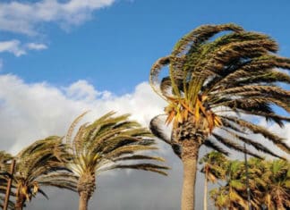Fire Danger: Warm Weather and Strong Winds