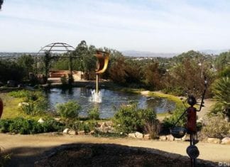 Celebrating 25 Years of Alta Vista Botanical Gardens Your Invited